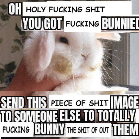 bun